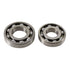 Main Bearing and Seal Kit