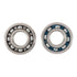 Main Bearing and Seal Kit