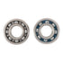 Main Bearing and Seal Kit