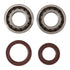 Main Bearing and Seal Kit
