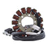 Kit Stator + Gasket Yamaha YFM550 / 700 Grizzly '07-'15 (RM01004G)