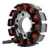 Generator Stator Honda CRF110F '19-'21 (RMS010-107086)