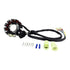 Lighting Stator Honda CRF450X '05-'09 | '12-'17 (RMS010-107832)