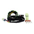 50W Lighting Stator Assorted KTM Husqvarna GasGas ‘16-’24