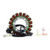 Generator Stator Various Arctic Cat (RM01285)