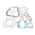 Complete Gasket Set 8080025