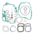 Complete Gasket Set 808241