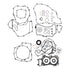 Complete Gasket Set with Oil Seals 8110032