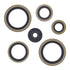 Oil Seal Kit 822187