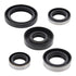 Oil Seal Kit 822216