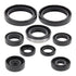 Oil Seal Kit 822316