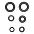 Oil Seal Kit 822391