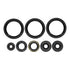 Oil Seal Kit 822403