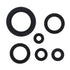 Oil Seal Kit 822978