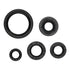 OIL SEAL KIT 822994