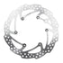 Z-Wheel F-DiskRotor Susserow250